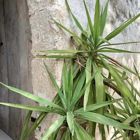 Casa Licchia, Casa Salentina Con Giardino Martignano